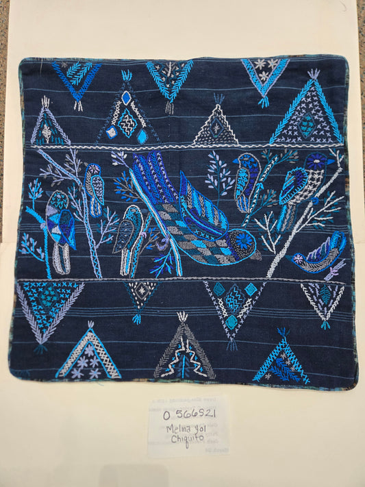 Embroidered Pillow Cover