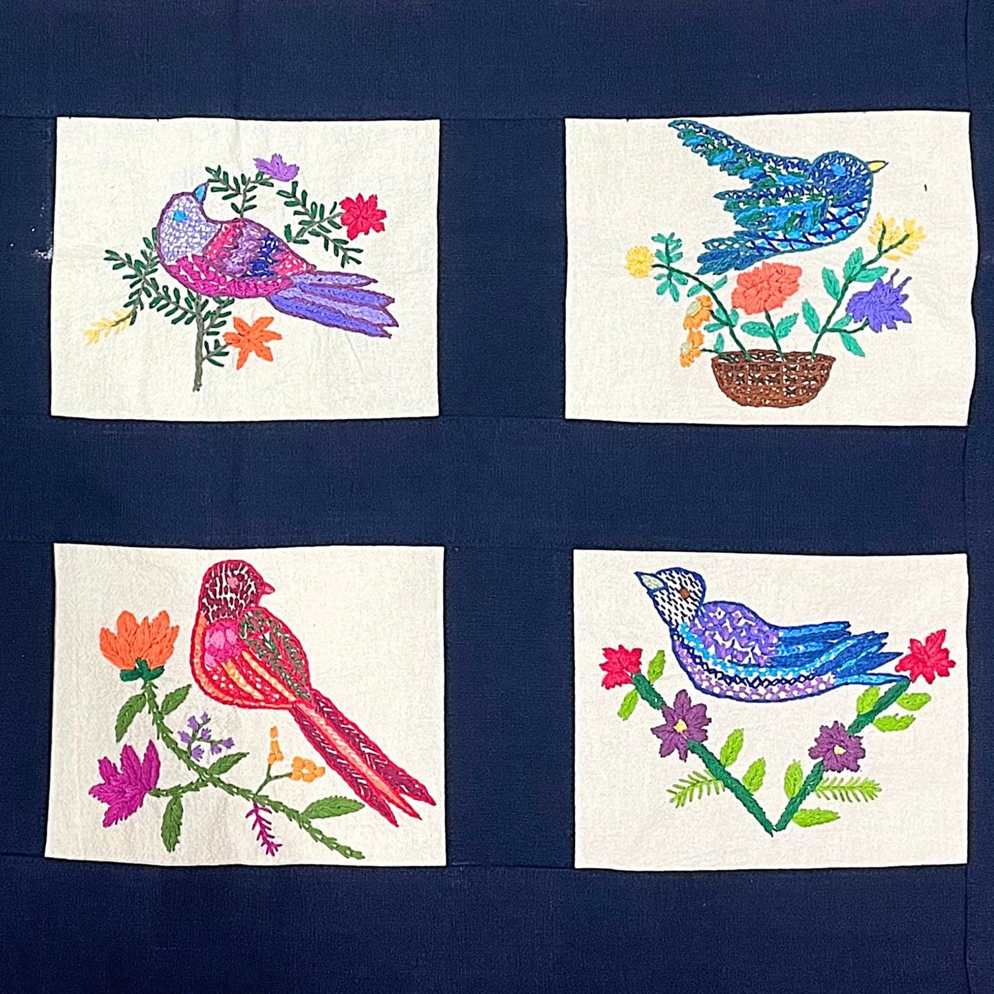 Birds in flight