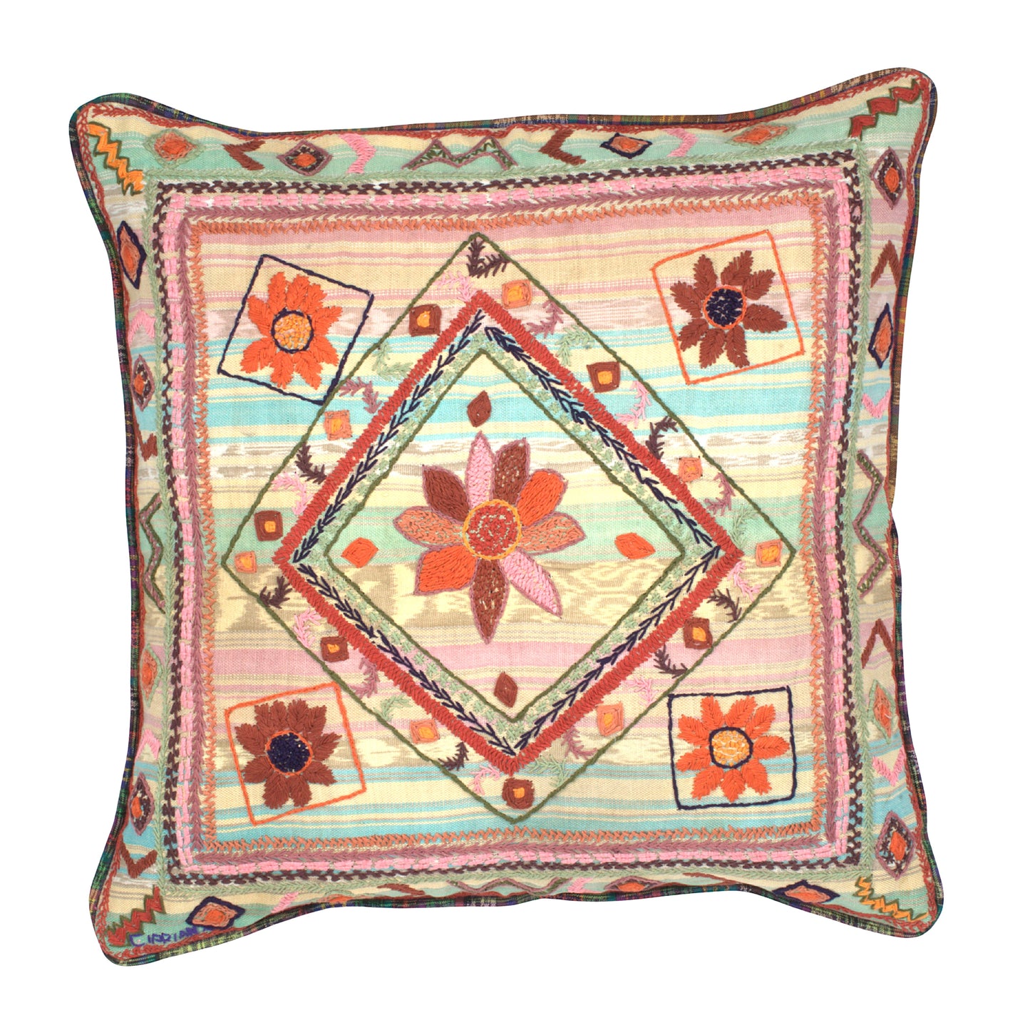 "Life Through Color" Cushion